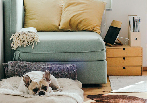 First Apartment Checklist
